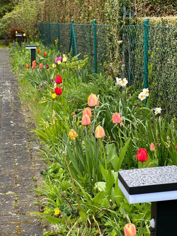 Apartamento Familienurlaub Im Gruenen Wernigerode Exterior foto